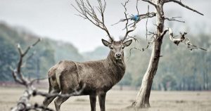 Samsung ще напусне продажбите на домакински уреди в Китай на фона на свиващ се пазарен дял