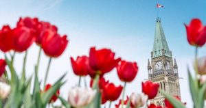 TiMi на Tencent отрича съобщенията за масови съкращения, казва, че около 100 служители са засегнати от корекция на проекта · TechNode