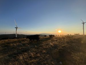 Китай предупреждава Япония за нарастващия милитаризъм