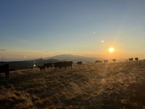 Нововъзникващите основни индустрии в Китай ще надминат 10 тона юана през 2030 г.: официално