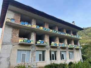 Ant International опровергава партньорството за отчитане на кръга, но амбициите на стабилни остават ясни · Technode