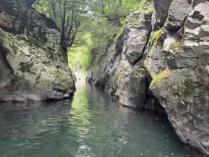 Учените проправят път за по-бързи и по-стабилни чипове