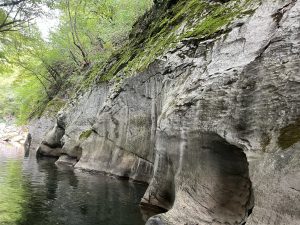 Бивш високопоставен служител в Държавния съвет е разследван