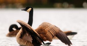 Икономиката на Китай, валутната администрация напредва към отваряне на по-висок стандарт