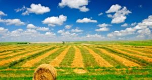 Стимулиращ иновации клъстер за медицински изделия от висок клас