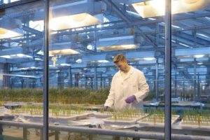 Syngenta насърчава иновациите, за да даде възможност на селскостопанския сектор на Китай