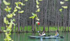 Metropolis има за цел да удвои своите паркове до 2036 г